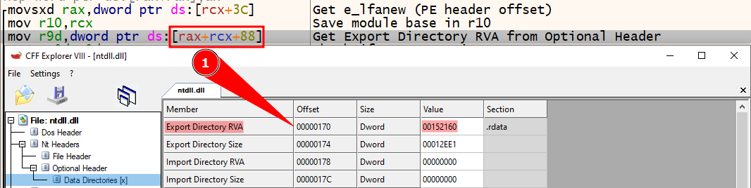 CFF Explorer - Export Directory offset from ntdll